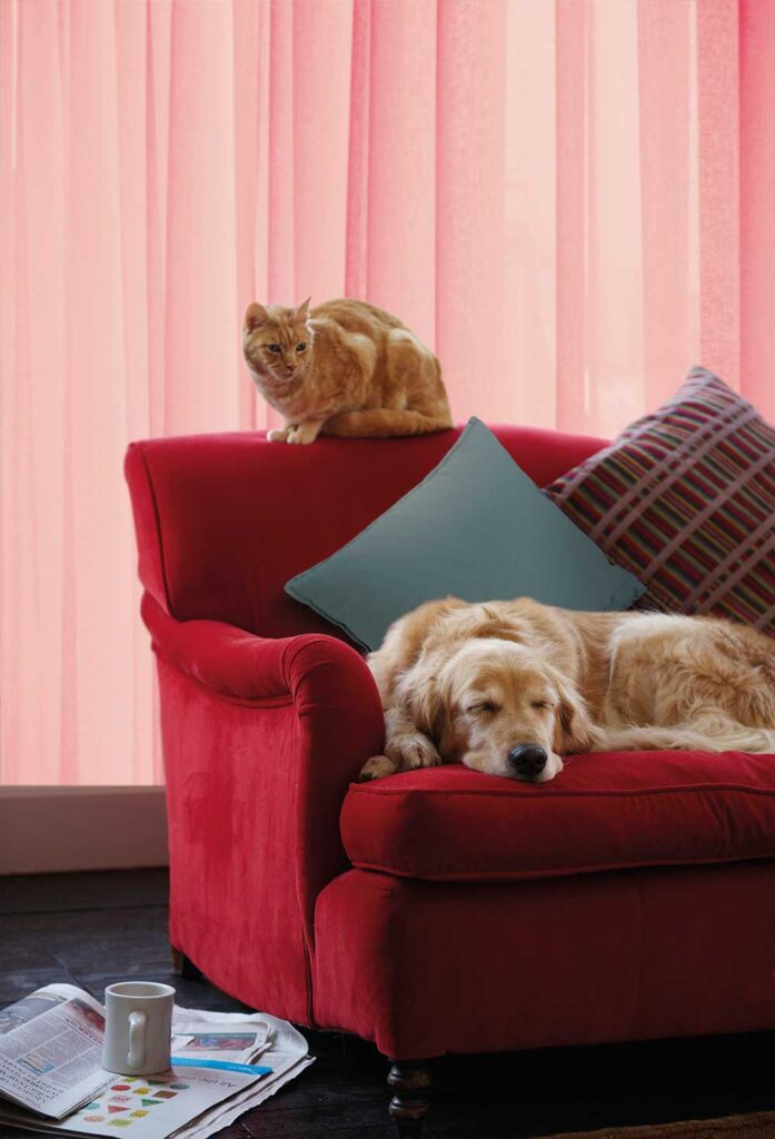 SeySelf profumatori ambiente